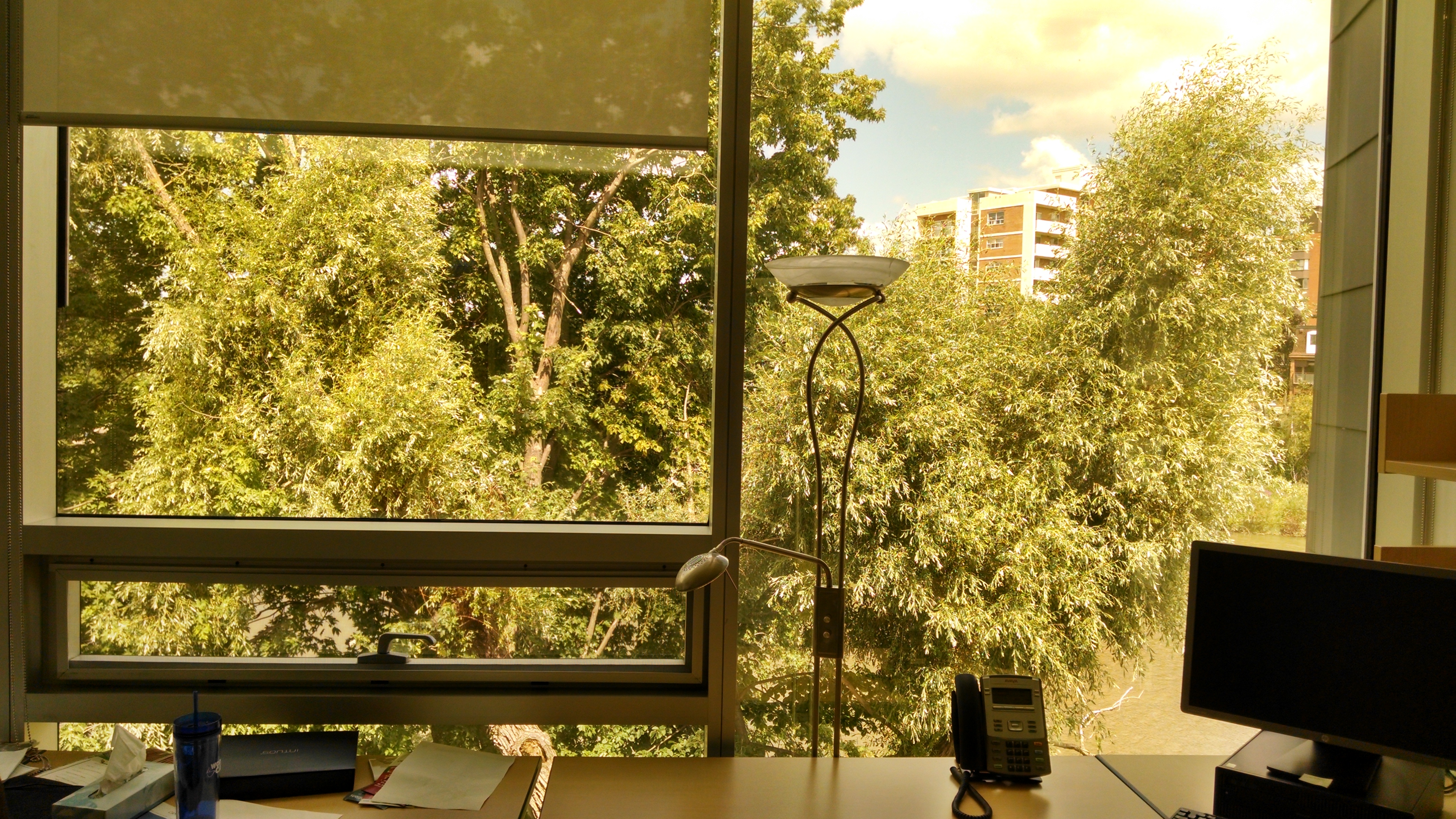 On the Perimeter...of Waterloo Park