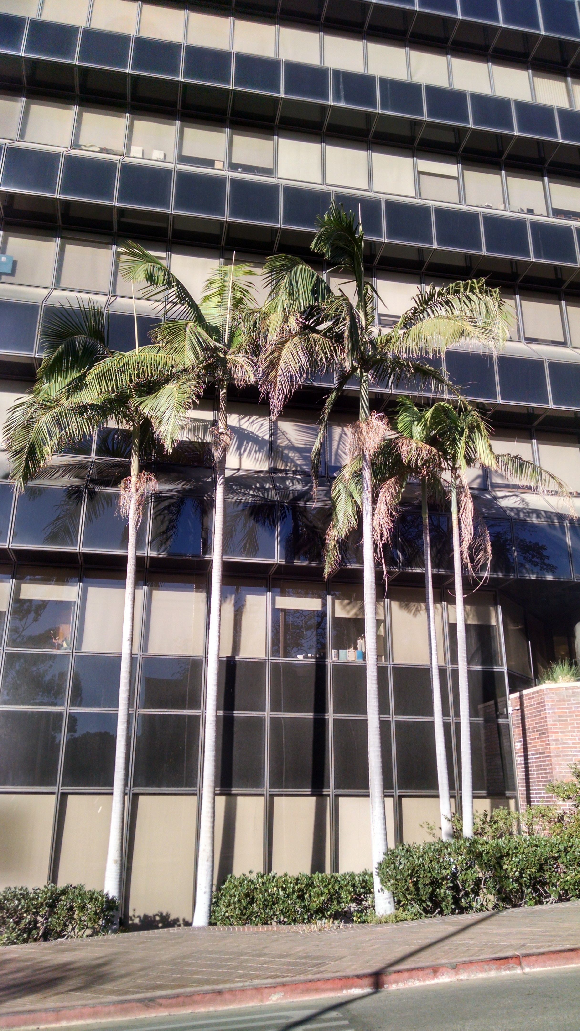 IMG_20171213_082840263_HDR