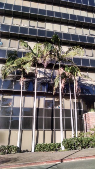 IMG_20171213_082840263_HDR